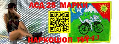 гидропоника Дубна
