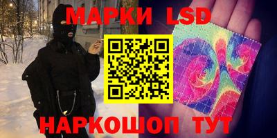 гидропоника Дубна