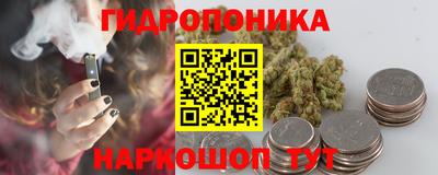 гидропоника Дубна
