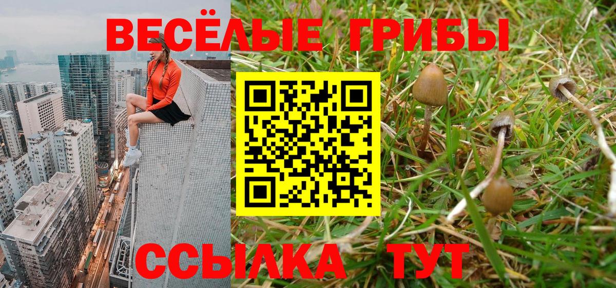 Галлюциногенные грибы ЛСД Мыски