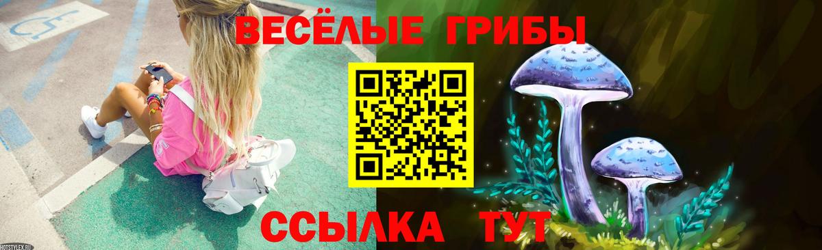 Мыски  Галлюциногенные грибы ЛСД  Вход с VPN 